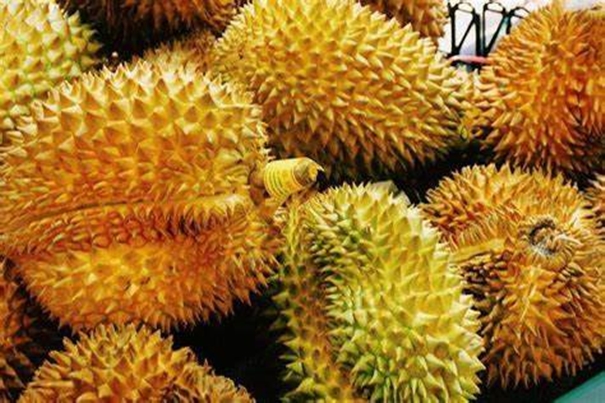 機(jī)場(chǎng)進(jìn)口泰國(guó)榴蓮報(bào)關(guān)要多久? 機(jī)場(chǎng)進(jìn)口泰國(guó)榴蓮報(bào)關(guān)要多久?