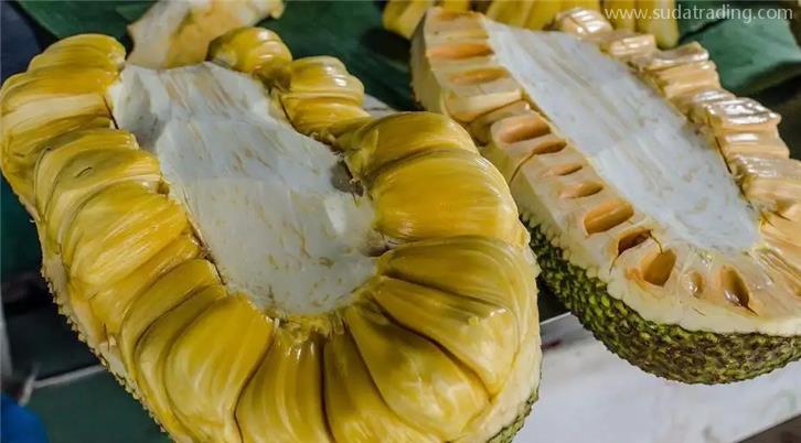 菠蘿蜜進(jìn)口清關(guān)代理一般貿(mào)易一站式服務(wù) 菠蘿蜜進(jìn)口清關(guān)代理一般貿(mào)易一站式服務(wù)