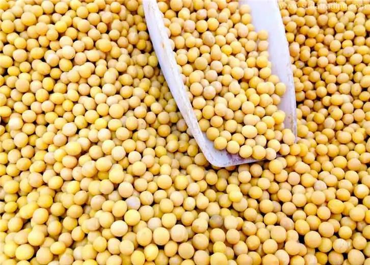 農(nóng)副產(chǎn)品進(jìn)口報(bào)關(guān)怎么操作比較順利? 農(nóng)副產(chǎn)品進(jìn)口報(bào)關(guān)怎么操作比較順利?