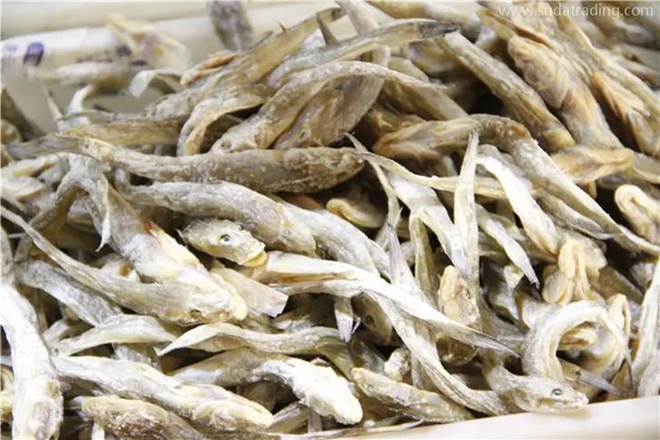 海鮮干進口報關公司推薦海鮮干報關代理公司哪家好 海鮮干進口報關公司推薦海鮮干報關代理公司哪家好