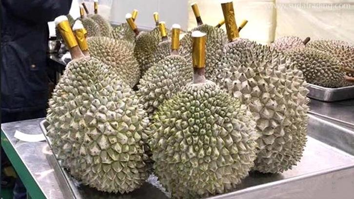 貓山王冷凍榴蓮上海報關(guān)如何操作【榴蓮報關(guān)】 貓山王冷凍榴蓮上海報關(guān)如何操作【榴蓮報關(guān)】