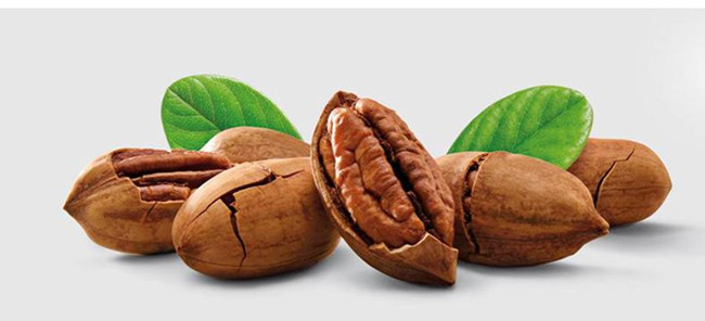 墨西哥碧根果堅果進口報關(guān)代理案例分享 墨西哥碧根果堅果進口報關(guān)代理案例分享