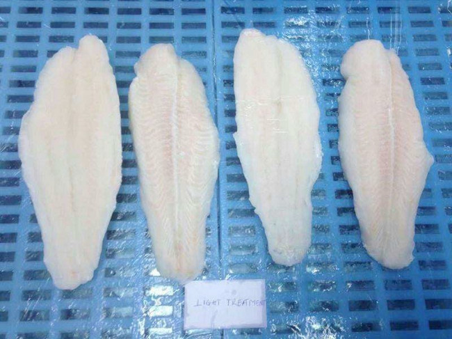 越南冰凍巴沙魚片進口報關_一般貿易代理服務案例 越南冰凍巴沙魚片進口報關_一般貿易代理服務案例