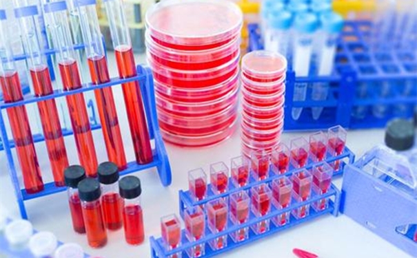 進口生物試劑清關時效以及流程 進口生物試劑清關時效以及流程