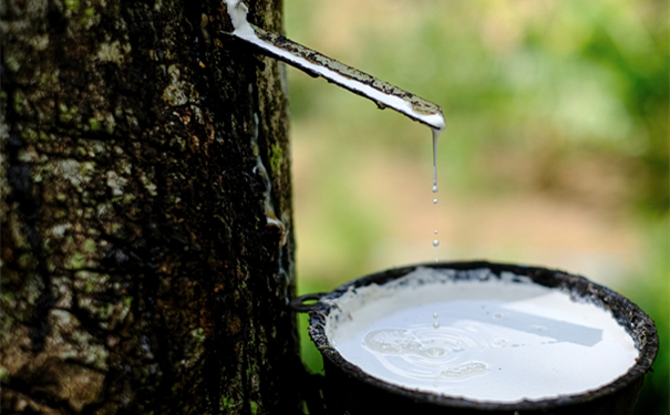 干貨!進口橡膠清關所需的單證資料以及注意事項 干貨!進口橡膠清關所需的單證資料以及注意事項