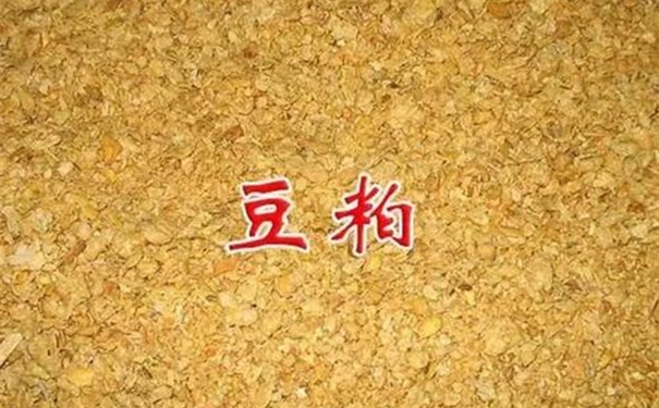 豆粕進口清關一般貿易進口流程以及所需單證資料 豆粕進口清關一般貿易進口流程以及所需單證資料