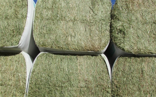 進口飼料清關需要哪些資質 進口飼料清關需要哪些資質