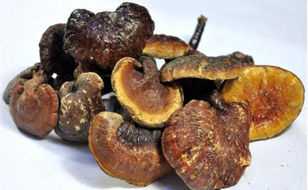 進口靈芝清關所需的文件以及資質 進口靈芝清關所需的文件以及資質