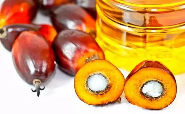 你要了解的進(jìn)口棕櫚油清關(guān)的流程在這里 你要了解的進(jìn)口棕櫚油清關(guān)的流程在這里