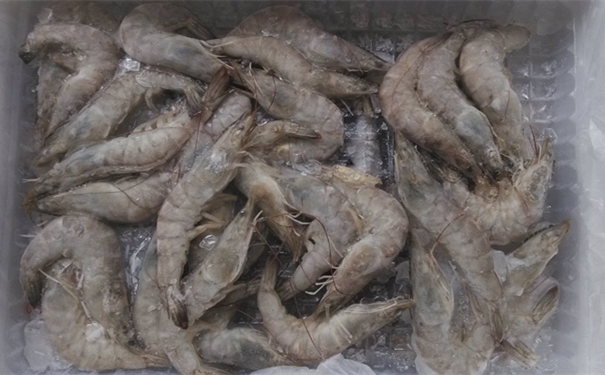 上海進(jìn)口馬來西亞冷凍蝦報(bào)關(guān)所需費(fèi)用有哪些 上海進(jìn)口馬來西亞冷凍蝦報(bào)關(guān)所需費(fèi)用有哪些