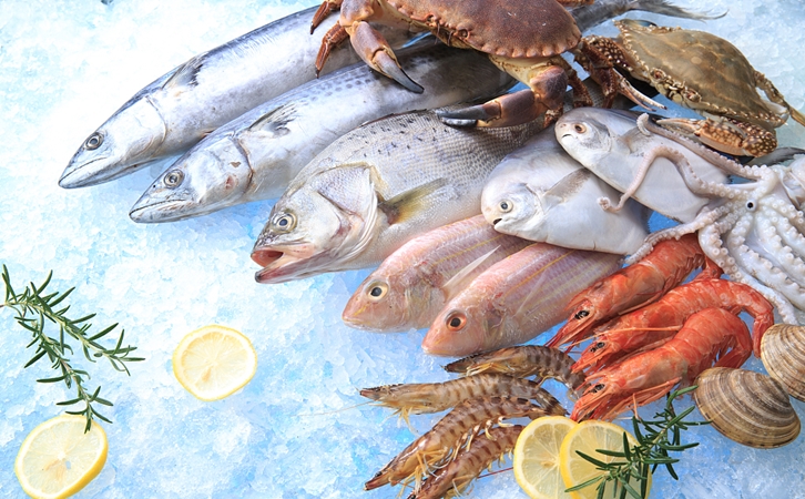 上海水產品進口報關需要提供哪些資料 上海水產品進口報關需要提供哪些資料