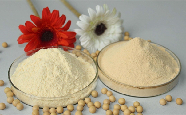 青島食品原料進(jìn)口清關(guān)進(jìn)口食品基本流程 青島食品原料進(jìn)口清關(guān)進(jìn)口食品基本流程