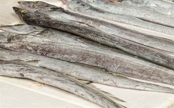 巴基斯坦白帶魚進口報關所需文件以及流程 巴基斯坦白帶魚進口報關所需文件以及流程