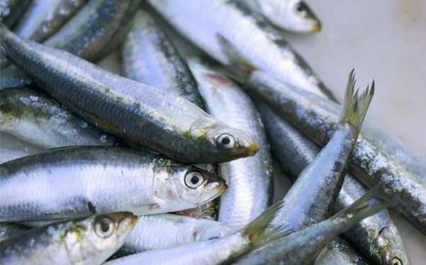 進口海鮮清關(guān)攻略你知多少? 進口海鮮清關(guān)攻略你知多少?