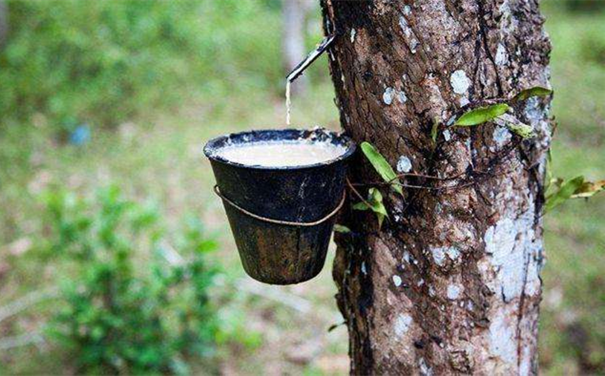 天津進口橡膠報關需要什么單證 天津進口橡膠報關需要什么單證