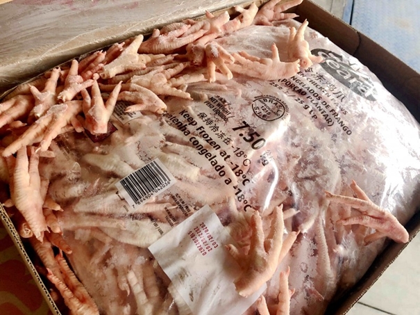 天津進口巴西雞爪清關公司 天津進口巴西雞爪清關公司