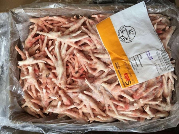 天津進口巴西雞爪清關公司 天津進口巴西雞爪清關公司