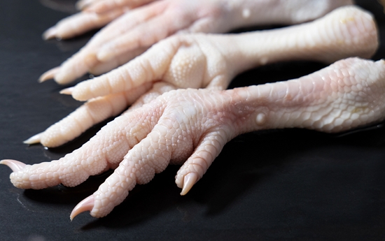 雞爪代理進(jìn)口清關(guān)需要注意什么?雞爪代理進(jìn)口公司 雞爪代理進(jìn)口清關(guān)需要注意什么?雞爪代理進(jìn)口公司