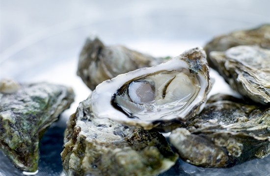 生蠔進口清關(guān)代理的相關(guān)流程/資料大全 生蠔進口清關(guān)代理的相關(guān)流程/資料大全