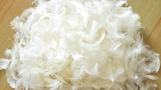 鴨毛進口報關，給大家普及一下相關知識