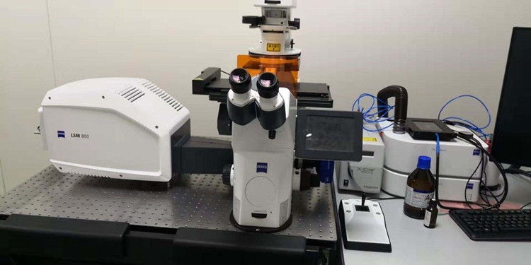 報關指南!環境科研設備進口報關手續流程與注意事項 報關指南!環境科研設備進口報關手續流程與注意事項