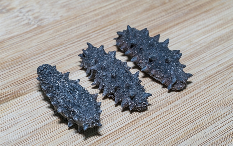 仿刺參進(jìn)口報(bào)關(guān)檢驗(yàn)檢疫需要的資料 仿刺參進(jìn)口報(bào)關(guān)檢驗(yàn)檢疫需要的資料