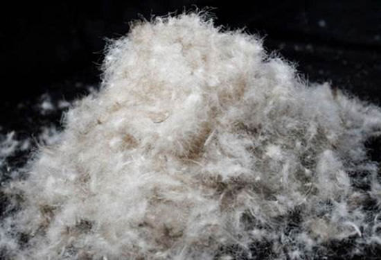 鴨絨進(jìn)口報關(guān)一站式流程及報關(guān)關(guān)稅 鴨絨進(jìn)口報關(guān)一站式流程及報關(guān)關(guān)稅