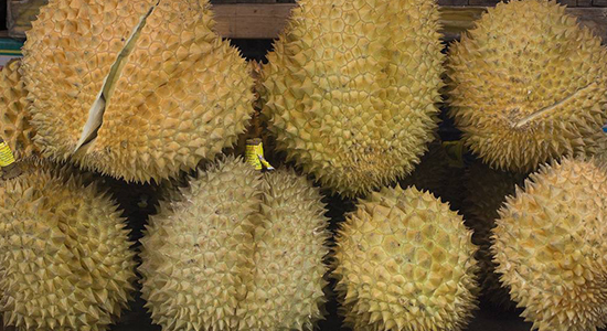 泰國進口榴蓮報關的注意事項，你一定要了解的