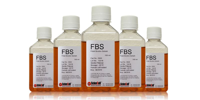 胎牛血清進口報關注意事項以及流程 胎牛血清進口報關注意事項以及流程