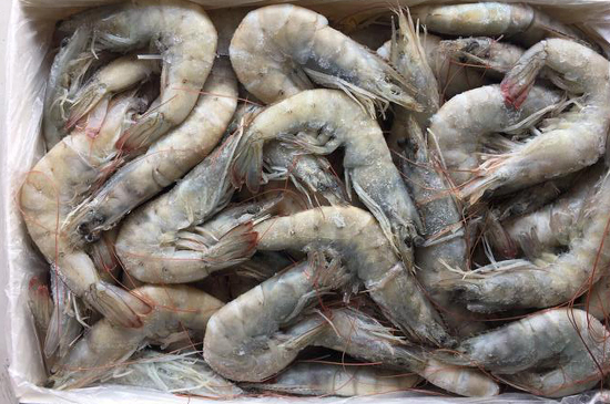 印度白蝦進口報關(guān)稅率及報關(guān)技巧 印度白蝦進口報關(guān)稅率及報關(guān)技巧