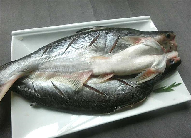 指導!初次冷凍巴沙魚進口報關應該這樣做 指導!初次冷凍巴沙魚進口報關應該這樣做