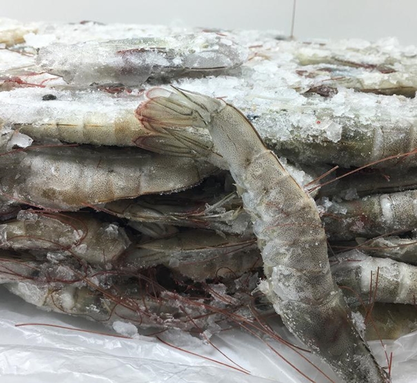 上海冷凍水產品進口清關代理公司 上海冷凍水產品進口清關代理公司