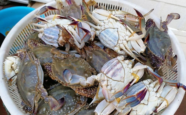 冷凍蟹進(jìn)口報(bào)關(guān)一般貿(mào)易流程 冷凍蟹進(jìn)口報(bào)關(guān)一般貿(mào)易流程