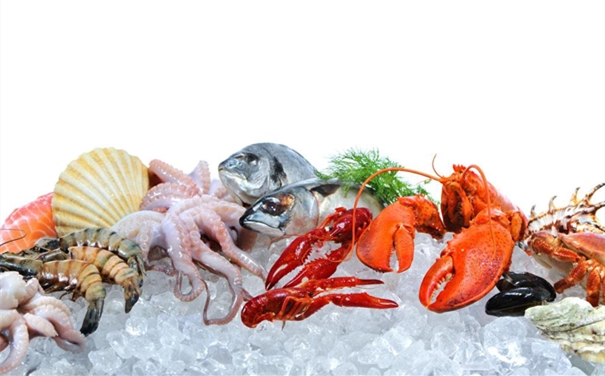 巴拿馬冷凍海鮮進口報關費用 巴拿馬冷凍海鮮進口報關費用