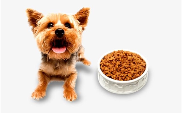 一篇搞懂美國進口寵物糧食清關代理一站式服務流程 一篇搞懂美國進口寵物糧食清關代理一站式服務流程