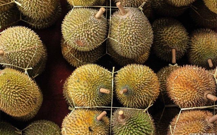 進(jìn)口泰國(guó)榴蓮報(bào)關(guān)提前準(zhǔn)備好這些資料,一點(diǎn)都不難 進(jìn)口泰國(guó)榴蓮報(bào)關(guān)提前準(zhǔn)備好這些資料,一點(diǎn)都不難