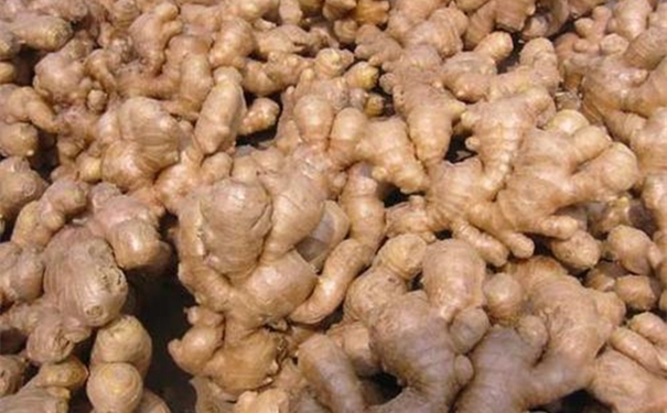 【生姜進口報關代理公司】告訴你生姜進口流程 【生姜進口報關代理公司】告訴你生姜進口流程