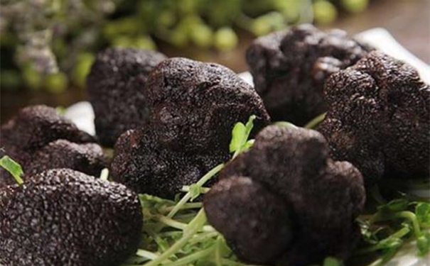 一般貿易進口松露清關代理的流程 一般貿易進口松露清關代理的流程