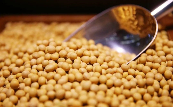 【大豆進口清關代理】的流程，一般貿易進口大豆