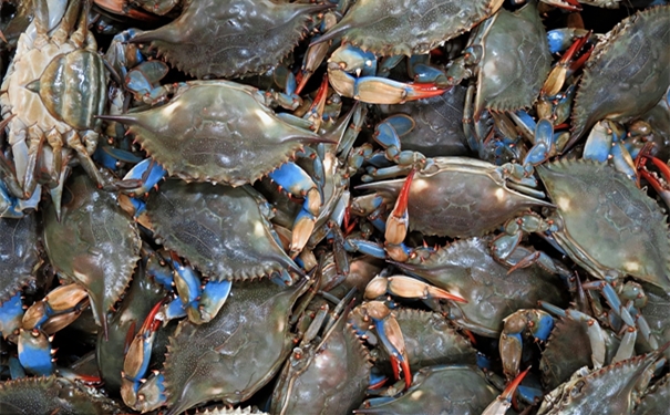 非洲【進(jìn)口青蟹清關(guān)代理】的流程,一般貿(mào)易進(jìn)口青蟹 非洲【進(jìn)口青蟹清關(guān)代理】的流程,一般貿(mào)易進(jìn)口青蟹