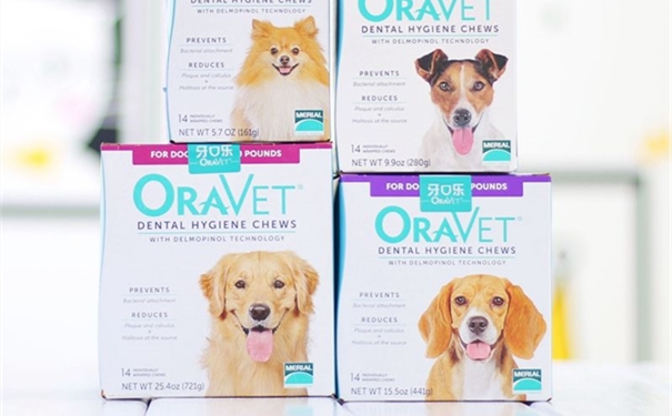 【寵物口腔噴霧劑進口清關(guān)】的流程，口腔噴霧進口這樣做