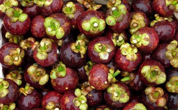 洋山港進(jìn)口山竹清關(guān)公司 洋山港進(jìn)口山竹清關(guān)公司