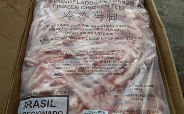 在港口/機場,進口雞爪清關代理核酸檢測原來這么做! 在港口/機場,進口雞爪清關代理核酸檢測原來這么做!