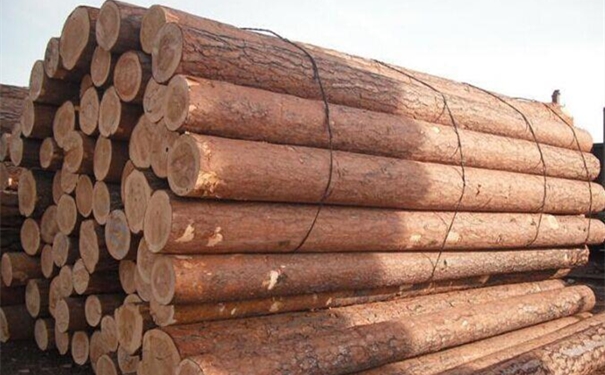 從歐洲進口木材清關這樣做!進口木材是這樣的 從歐洲進口木材清關這樣做!進口木材是這樣的