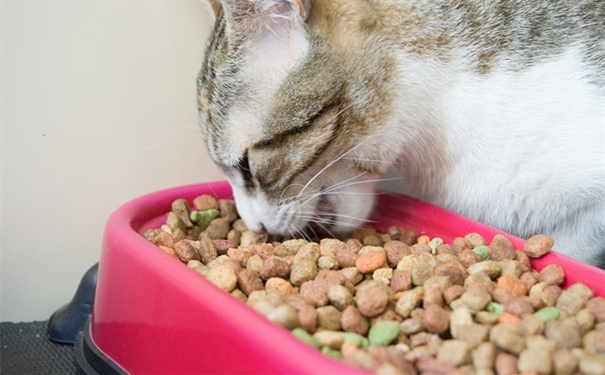 進口寵物食品這樣做,寵物食品清關資料 進口寵物食品這樣做,寵物食品清關資料