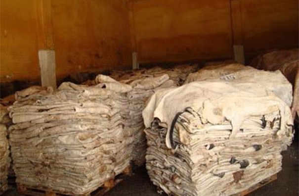 鹽濕皮進口清關(guān)的流程以及所需資料，請查收!