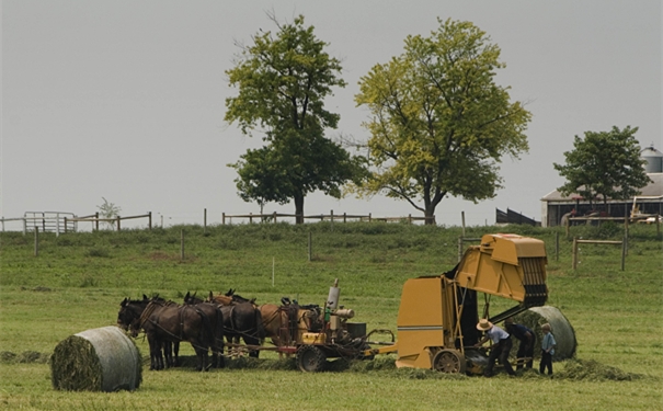 打捆機進口清關需要的流程以及費用 打捆機進口清關需要的流程以及費用