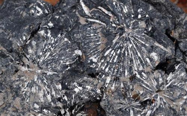 鎳礦石進口清關所需資料以及注意事項 鎳礦石進口清關所需資料以及注意事項