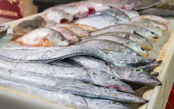 青島進(jìn)口水產(chǎn)品報(bào)關(guān)公司 青島進(jìn)口水產(chǎn)品報(bào)關(guān)公司