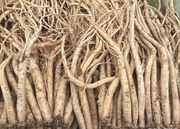 馬來西亞藥材進口報關的流程手續很復雜么 馬來西亞藥材進口報關的流程手續很復雜么